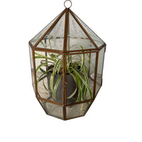 Glass and Brass Geometric Terrarium