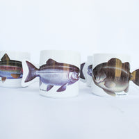Salamander Taiwan 1991 90's Ceramic Fish Mugs (Sold Individually)