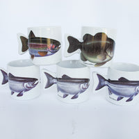 Salamander Taiwan 1991 90's Ceramic Fish Mugs (Sold Individually)