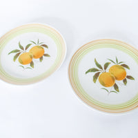 Harmony House Iron Stone Plates in Tangerine Made in Japan Set of 2