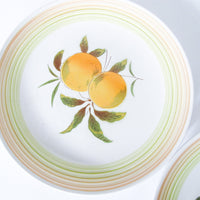 Harmony House Iron Stone Plates in Tangerine Made in Japan Set of 2