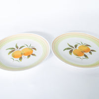 Harmony House Iron Stone Plates in Tangerine Made in Japan Set of 2