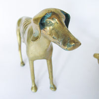 Brass Bulldog Brass Grey Hound Greyhound Vintage
