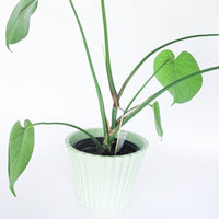 Midcentury Green USA Ceramic Plant Pot