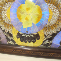 Butterfly Wing Tray From Brazil with Hand Carved Wood Frame and Glass Top