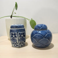 Porcelain Vase Boxes Blue and White Porcelain Fish Frog Turtle Ginger Jar