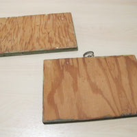 Framed Still Life Painting Art on Wood Mushroom and Radish