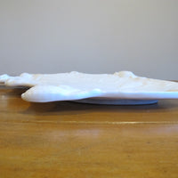 Terracotta Fish Platter Italy Vintage Ceramic Studio Pottery