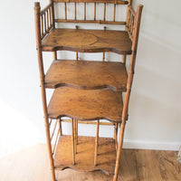 Tortoise Shell Bamboo Bookshelf Antique