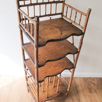 Tortoise Shell Bamboo Bookshelf Antique