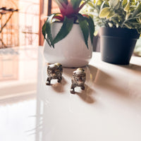 Mini Brass Lions Statues Sculptures