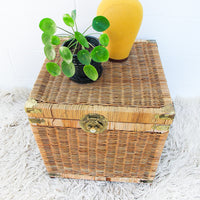 Asian Vintage Wicker and Brass trunk