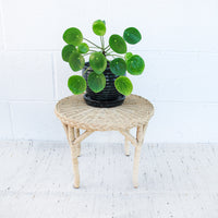 Small Woven Round Wicker Table Plant Stand
