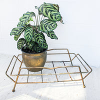 Midcentury Brass Log Holder