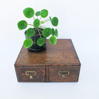 Macey 2 Drawer Antique Card Catalog Index Cabinet