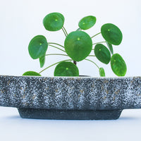 Lane & Co Van Nuys Califronia P-58 Black 1957 Midcentury Ceramic Rectangular Planter