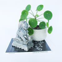 Marble Stone Foo Dog
