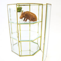 Octagonal Glass and Brass Display Case