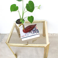 Brass and Glass Side End Table