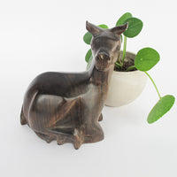 Ironwood Alpaca Llama