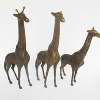 Set of 3 Brass Giraffes