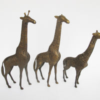 Set of 3 Brass Giraffes