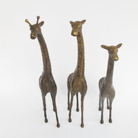 Set of 3 Brass Giraffes