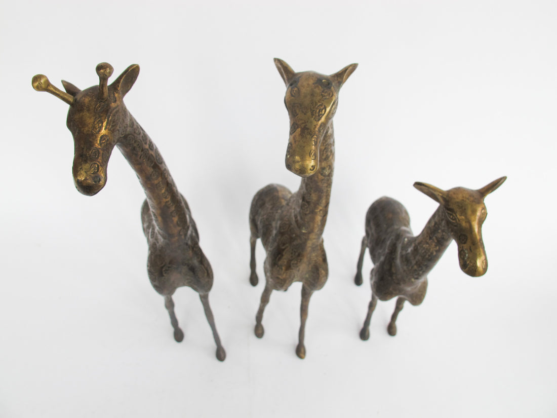 Set of 3 Brass Giraffes