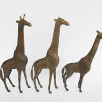 Set of 3 Brass Giraffes