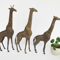 Set of 3 Brass Giraffes