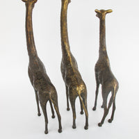 Set of 3 Brass Giraffes