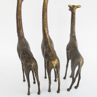 Set of 3 Brass Giraffes