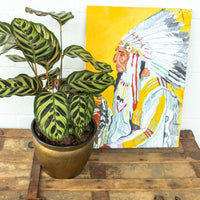 Green Metal Trunk With Wood and Leather