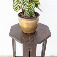 Geometric Hexagon Wood Side Table