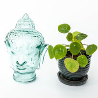Blue Glass Buddah Head