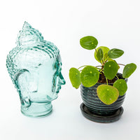 Blue Glass Buddah Head