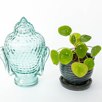 Blue Glass Buddah Head