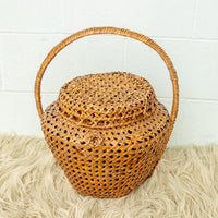 Large Weave Basket with Handle and Lid