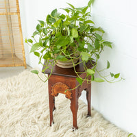 Wood Hexagon Table with Carved Shell Design Detailing