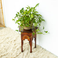 Wood Hexagon Table with Carved Shell Design Detailing