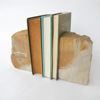 Petrified Wood Bookends
