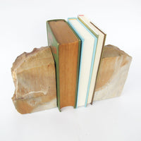Petrified Wood Bookends