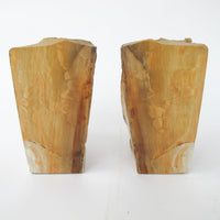 Petrified Wood Bookends