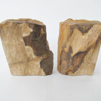 Petrified Wood Bookends