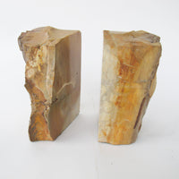 Petrified Wood Bookends