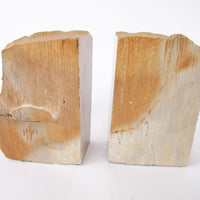 Petrified Wood Bookends