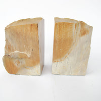Petrified Wood Bookends