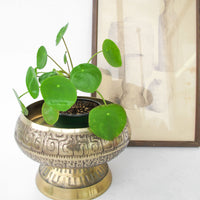 Large Vintage Brass Pedestal Bowl with Midcentury Modern Detailing