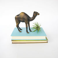 Vintage Brass Camel