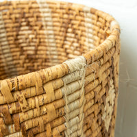 Large Neutral Woven Basket with Lid - with tan and cream accents - some fraying